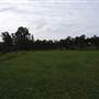 Bushland / Nature Reserve
