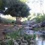 Nerima Gardens - Ipswich