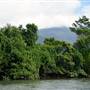 Mulgrave River (Cairns Region)