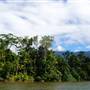 Mulgrave River (Cairns Region)