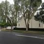 Oxford St, Bulimba