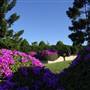 Queens Park