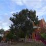 Saint Brigids Catholic Church
