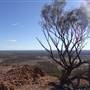 Longreach - Mount Slowcombe