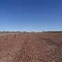 Isisford-Emmet Rd