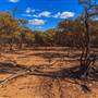 Age Of Dinosaurs (Rangelands)