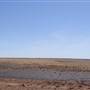 Winton - Kennedy Development Rd