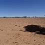 Skull Hole (Bladensburg National Park)
