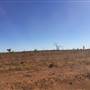 Winton-Jundah Road
