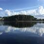 Pine Forest, Riverside Skate Park & Open Sports Fields - Pizzey Park