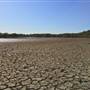 Brisbane Region - Swamps / Mangroves (St Helena Island)