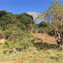 St Helena - Red Hillside