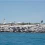 Torres Strait - Booby Island Lighthouse