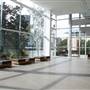 Gallery of Modern Art (GOMA) - INTERIORS