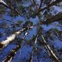 Gold Coast - Coombabah Lakelands