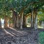 Townsville - Anzac Park
