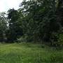 Hinterland Jungle Backlot