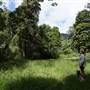 Hinterland Jungle Backlot