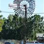 Barcaldine