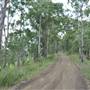 Dirt Road / Wilderness / Pastures
