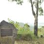 John Shepherd Lookout