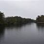 Harrys Hut Area (Noosa Everglades)