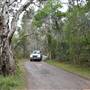 Harrys Hut Area (Noosa Everglades)