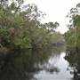 The Narrows (Noosa Everglades)
