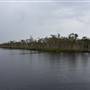 Lake Como (Noosa Everglades)