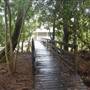 Noosa Everglades - Kinaba Information Building