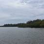 Lake Cootharaba (Noosa Everglades)