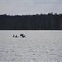 Lake Cootharaba (Noosa Everglades)