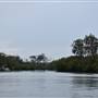 Noosa Everglades - Tewantin Docks