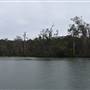 Noosa Everglades - Makepeace Island
