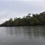 Noosa Everglades - Makepeace Island
