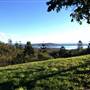 Castle Mountain Acreage
