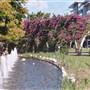South Bank Grand Arbour