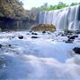 Millstream Falls (FNQ)