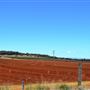 Kingaroy