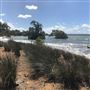 Macleay Island