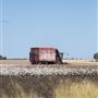 Cotton Fields