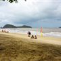 Palm Cove - Beach / Coastline