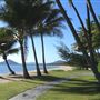 Palm Cove - Beach / Coastline