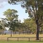 Sheep Farm & Dairy - Towri Sheep Cheeses