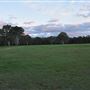 Coombabah Lakelands Conservation Area - Open Field & Forest