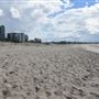 Kirra Beach - Streets & Beach