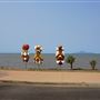 Cardwell - Coastline & Jetty