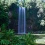 Millaa Millaa - Township