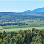 Hallorans Hill Conservation Park
