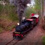 Queensland Pioneer Steam Railway